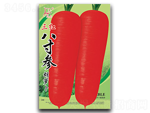 ���t�˴煢���}��-���}���N��-�}�ʷN�I(y��)