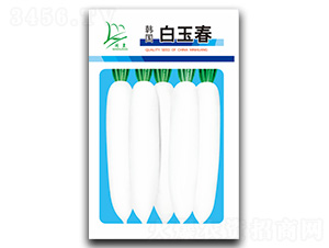 �n������-�}���N��-�}�ʷN�I(y��)