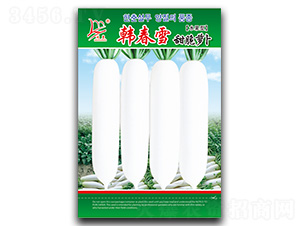 �n��ѩ����}��-�}���N��-�}�ʷN�I(y��)