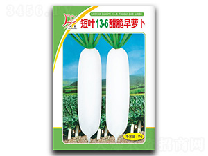 ���~13-6������}��-�}���N��-�}�ʷN�I(y��)