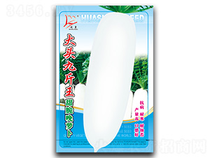 ���^�Ž���-�}���N��-�}�ʷN�I(y��)