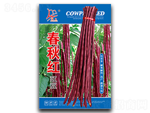 ����t����-�����N��-�}�ʷN�I(y��)