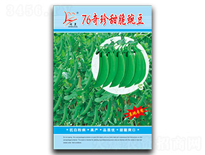 76��������㶹-�㶹�N��-�}�ʷN�I(y��)