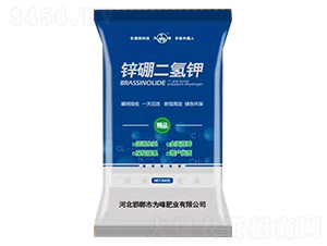 鋅硼二氫鉀-為峰肥業(yè)