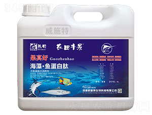 ���塤�~������-�����-��ʩ��