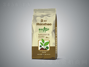 苗根郎中-融昭農(nóng)業(yè)