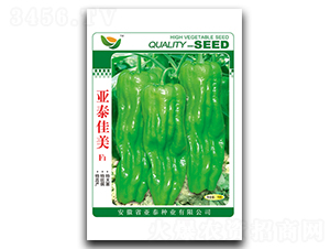 ��̩����-��Ƥ���\���N��-��̩