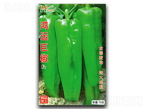 ���\(y��n)�޽�-����ݽ��N��-��̩