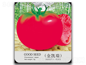 ���P��-���ѷN��-�ٺ̹�