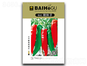 �؃�(y��u)������-�����N��-�ٺ̹�