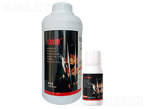 �������x����ˎ�M������ ���σ�(y��u)ʿ