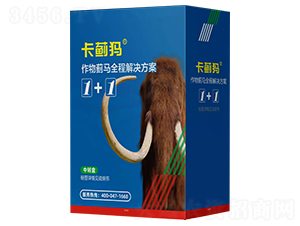 �߿��E�R��Чˎ ���E��1+1 ���σ�(y��u)ʿ