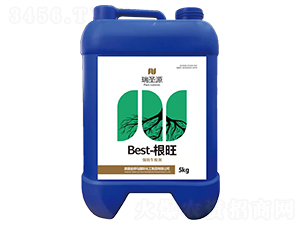 Best-���������b��(qi��ng)Ч��������-��ʥԴ-��(y��u)���r(n��ng)�I(y��)