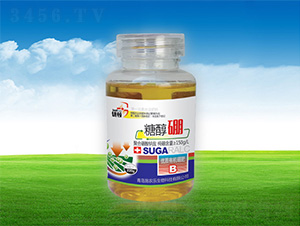 �Ǵ���-�μѸ�