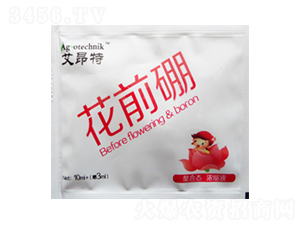 ��ǰ��-������