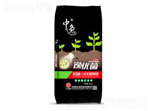 5�|���������-������-����