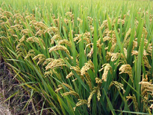 �Ͼ�44-ˮ���N��-����N�I(y��)