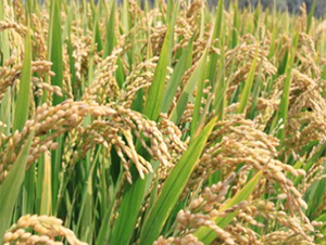 �(zh��n)��14-ˮ���N��-����N�I(y��)