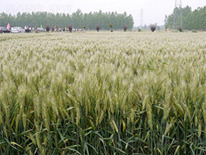 ����32-С���N��-����N�I(y��)