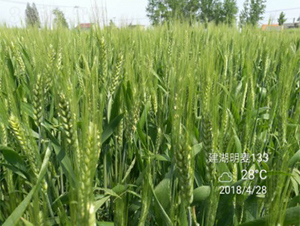 ����133-С���N��-����N�I(y��)