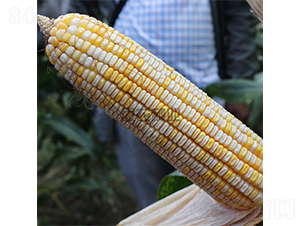 ����14022-���׷N��-���r�N�I(y��)