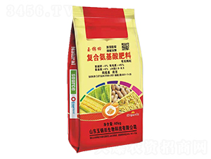 ���{�����ͺϰ��������-���\��