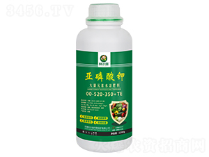 �������-����ɭ