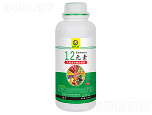 12Ԫ��-����ɭ