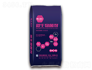 ΢�������-���S�r��-��Ͷ����