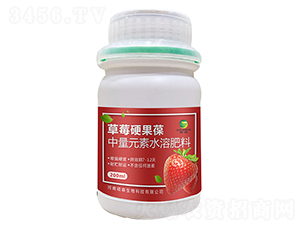 ����Ԫ��ˮ�ܷ���-��ݮӲ����-�Tɭ����