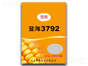 登海3792-玉米種子-袁氏農(nóng)業(yè)