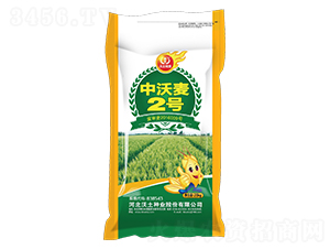 ������2̖(h��o)-С���N��-�����N�I(y��)