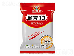 Դ��13-���׷N��-�����N�I(y��)