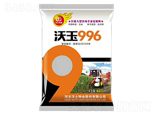 ����996-���׷N��-�����N�I(y��)