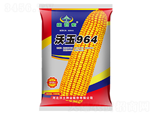 ����964-���׷N��-�����N�I(y��)