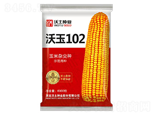 ����102-���׷N��-�����N�I(y��)