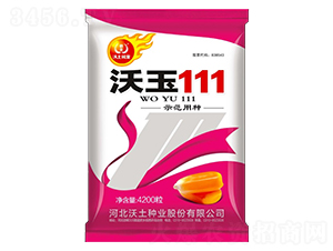 ����111-���׷N��-�����N�I(y��)