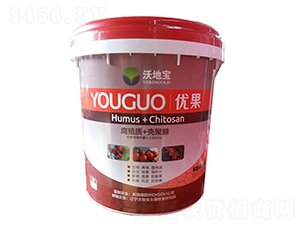 ��ֳ��+������-��(y��u)��-�ֵ،�