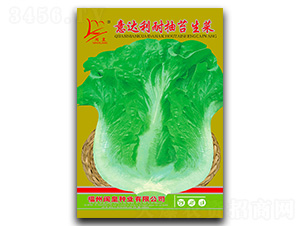 ���_���ͳ�̦����-���˷N��-�}�ʷN�I(y��)