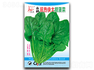 ̩�N�������𲤲�-���˷N��-�}�ʷN�I(y��)