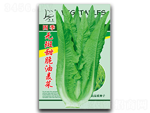 �ļ��o�����������-�����˷N��-�}�ʷN�I(y��)