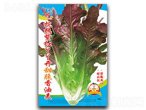 �����ϼtѾѾ�_���������-�����˷N��-�}�ʷN�I(y��)