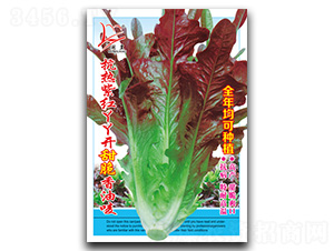 �����ϼtѾѾ�_������͇O-�����˷N��-�}�ʷN�I(y��)