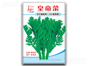 С�~������-����N��-�}�ʷN�I(y��)