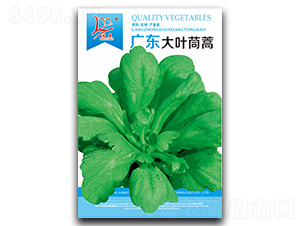 �V�|���~����-����N��-�}�ʷN�I(y��)