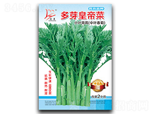 多芽皇帝菜-茼蒿種子-閩皇種業(yè)