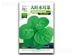 ���~ľ���ˣ�717��-ľ���˷N��-�}�ʷN�I(y��)