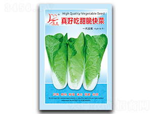 ��ó������-��˷N��-�}�ʷN�I(y��)