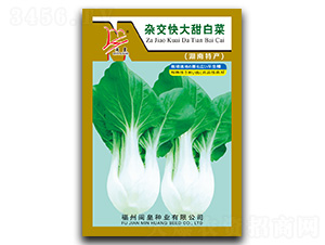 �s�������ײ�-�ײ˷N��-�}�ʷN�I(y��)