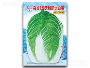 �s��120������ײ�-�ײ˷N��-�}�ʷN�I(y��)